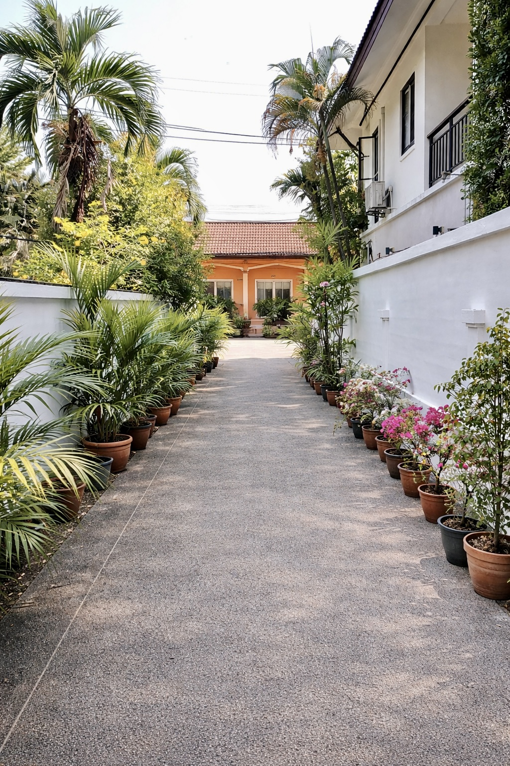 Driveway view from house towards street