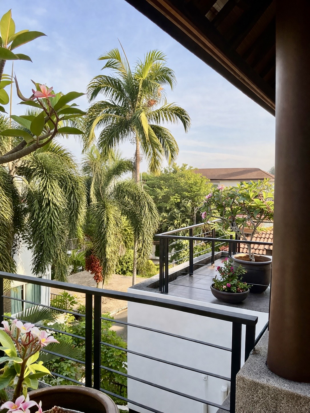 Rooftop view
