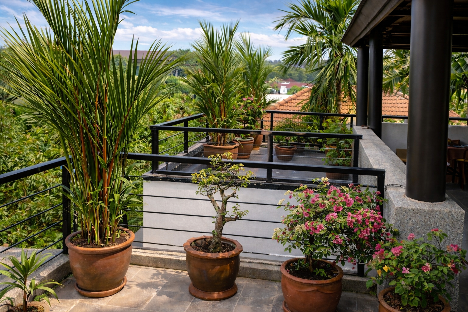 Terrace overview